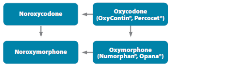 Metabolites of Ozycodone